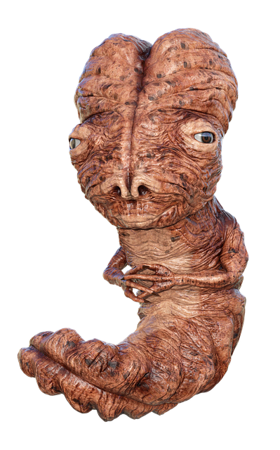 Лучшие сказочные фильмы для каждого возраста: гид по волшебному кино для детей, подростков и взрослых